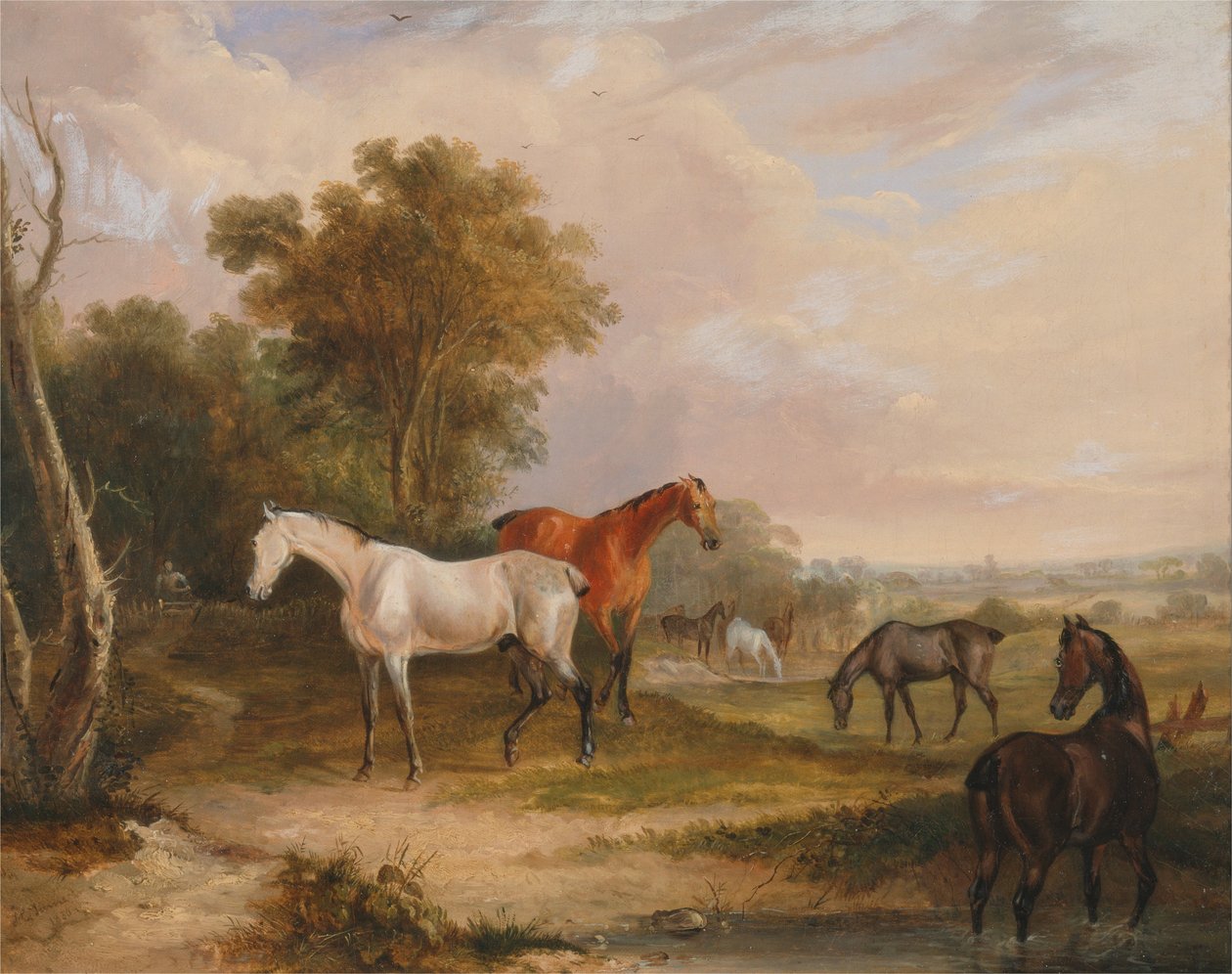 Hästar på bete: en grå hingst betar med ston på en äng av Francis Calcraft Turner