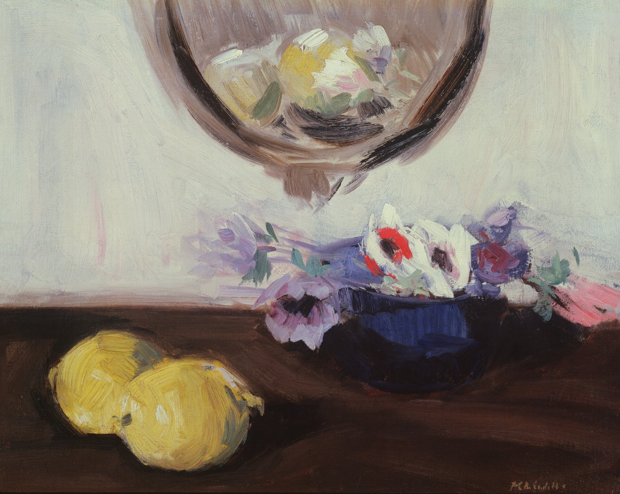 Anemoner och citroner av Francis Campbell Boileau Cadell