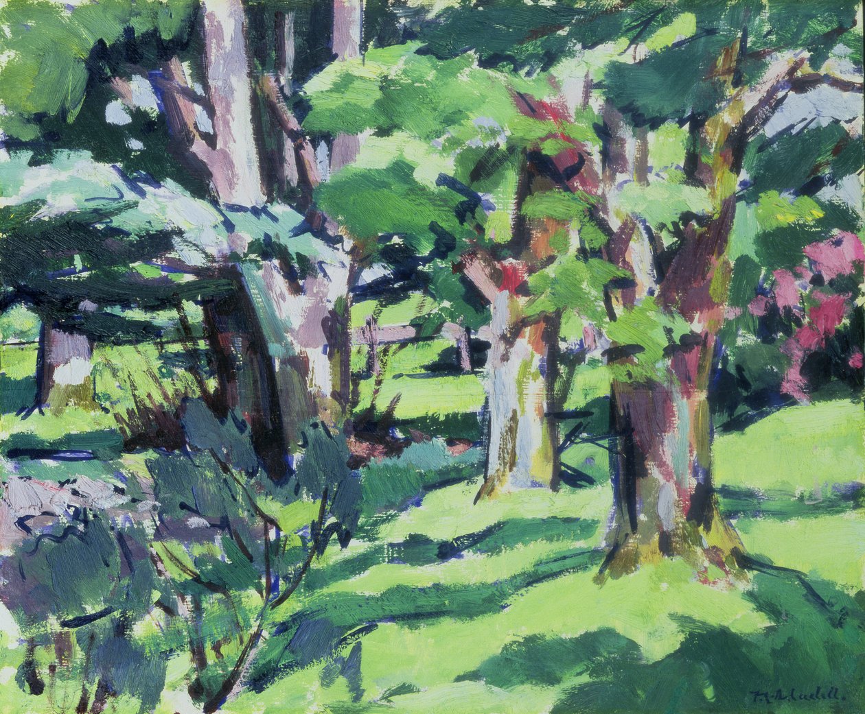 Träd vid Auchinleck, Ayrshire av Francis Campbell Boileau Cadell