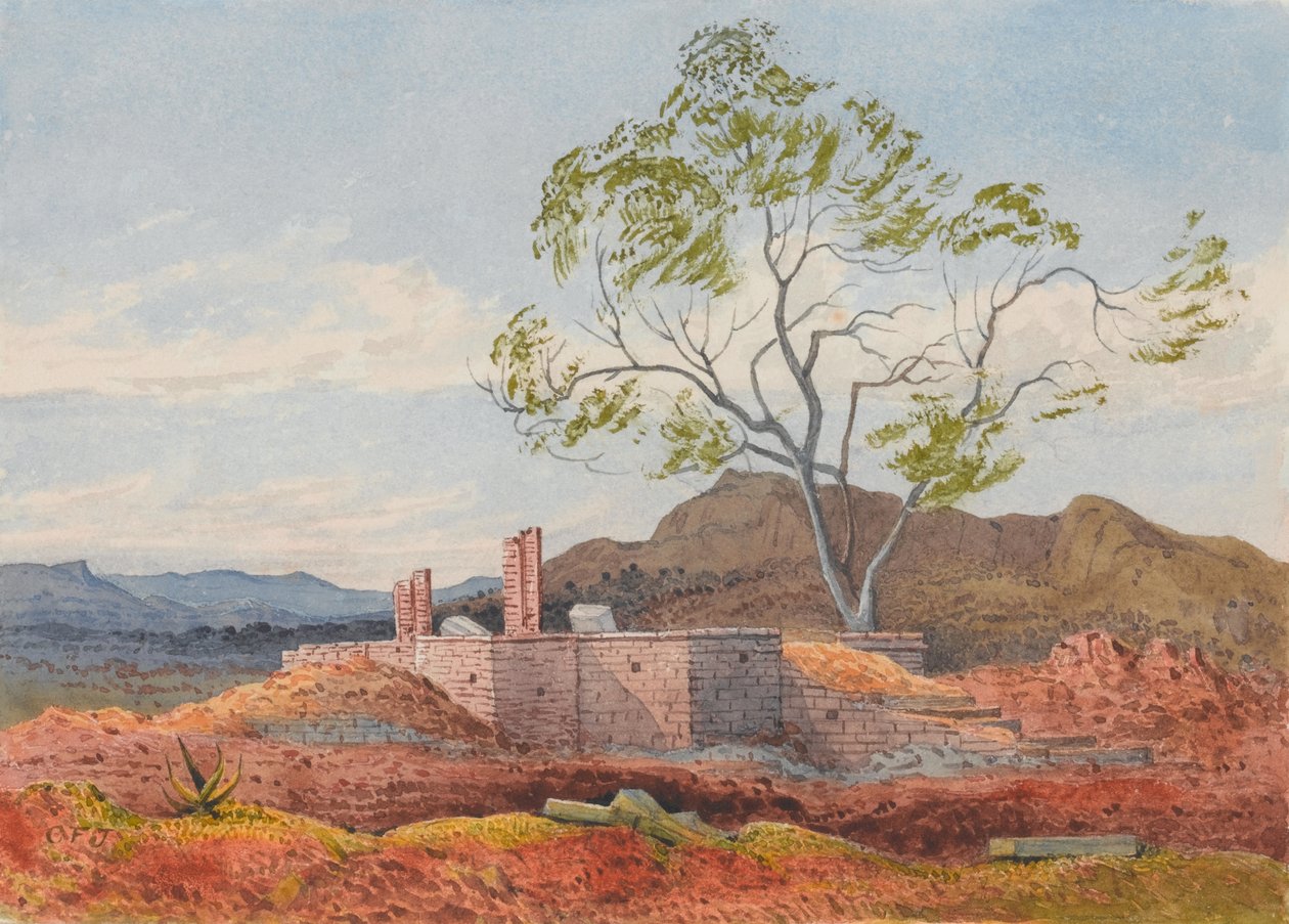 Ruin i Agoola, Tigre av Francis Cornelius James