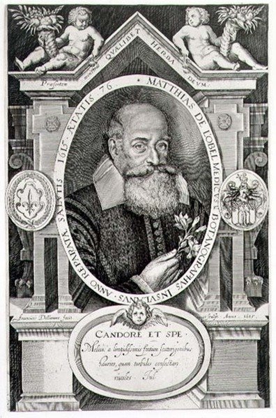 Porträtt av Matthias de Lobel (1538-1622) graverad av konstnären av Francis Delaram