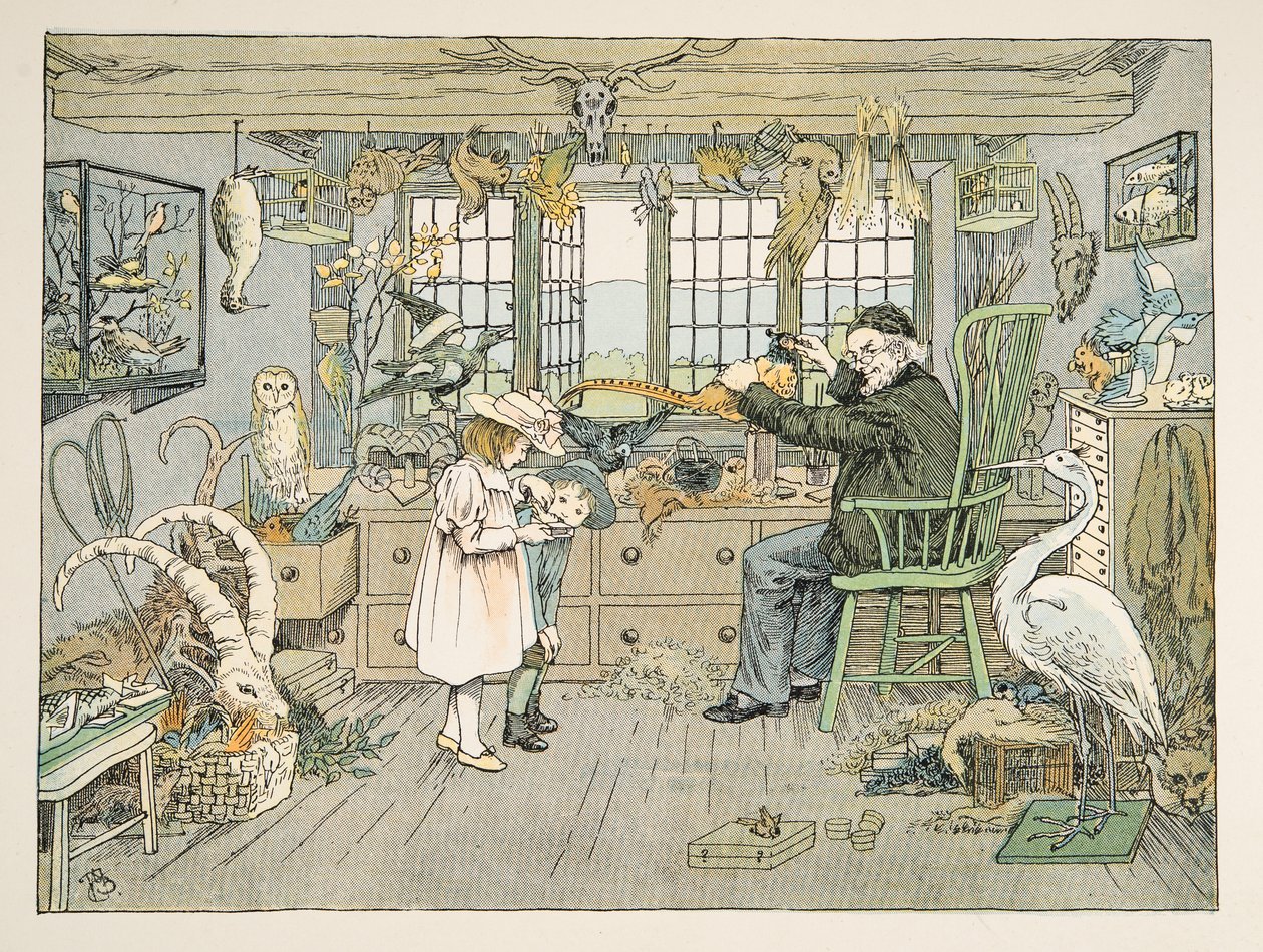 The Bird Stuffer, från Four and Twenty Toilers, pub. 1900 (färglitografi) av Francis Donkin Bedford