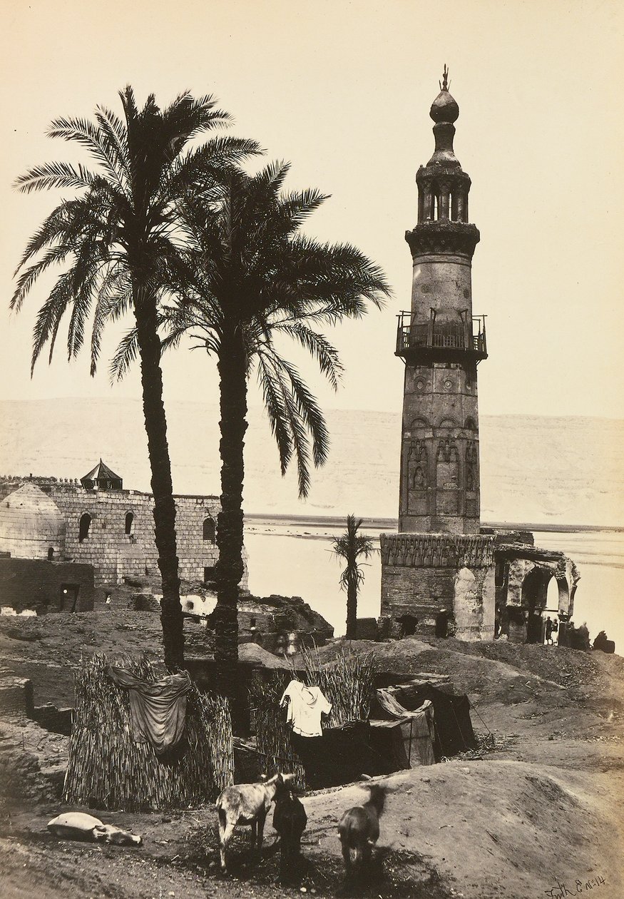"Egypten och Palestina": utsikt över Girgeh, övre Egypten av Francis Frith