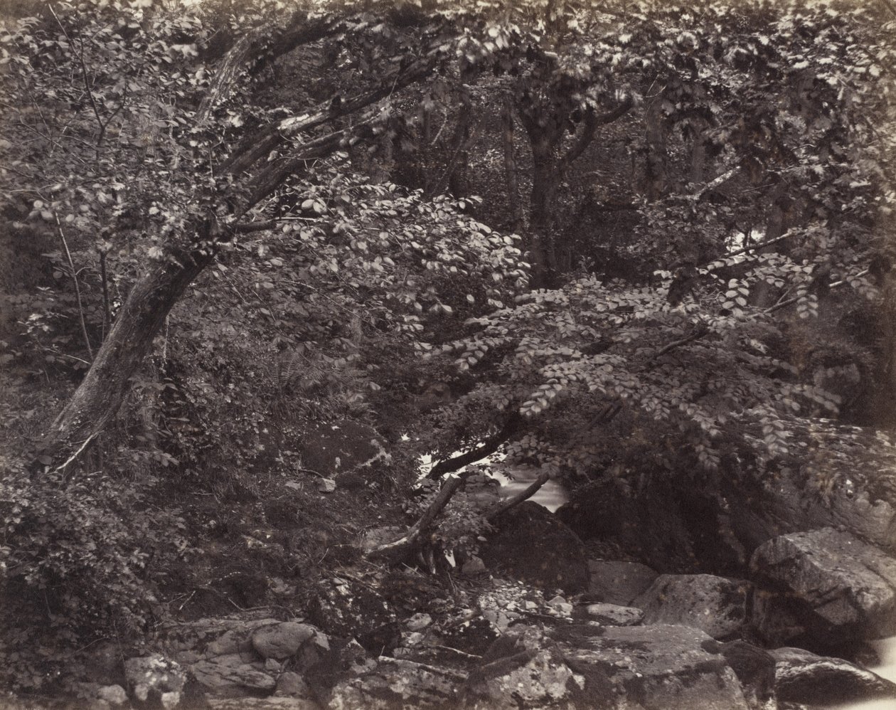 Glen i Lynmouth, 1860-talet av Francis Frith