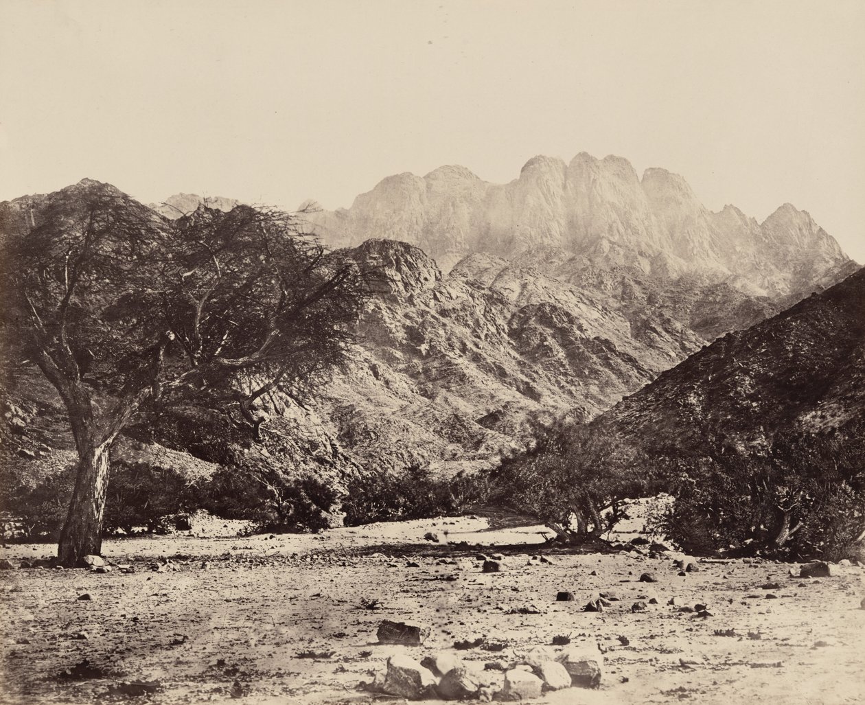 Serbal-berget, från Wádee Feyrán, Egypten,1858 (foto) av Francis Frith