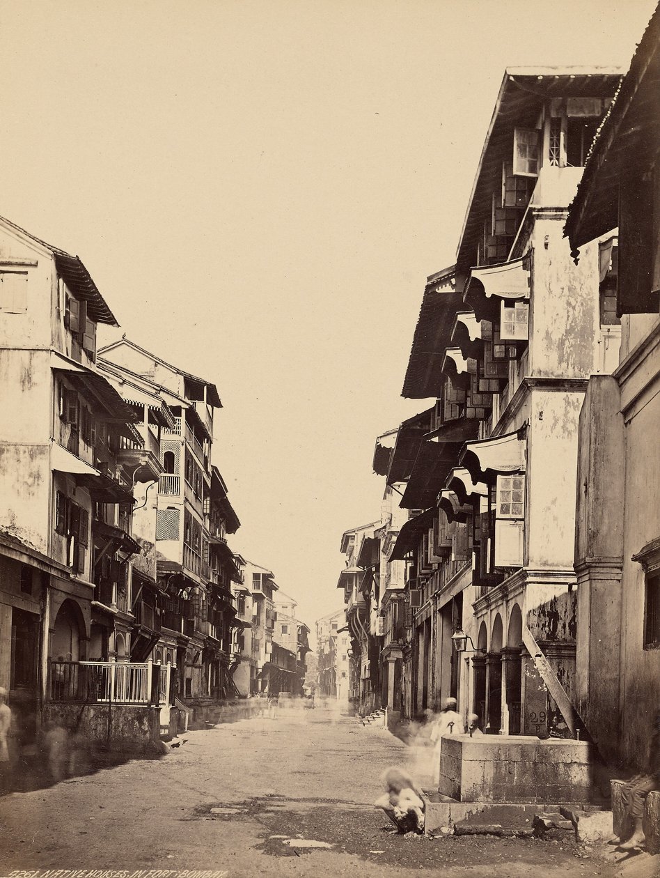 Inhemska hus i fortet, Bombay av Francis Frith