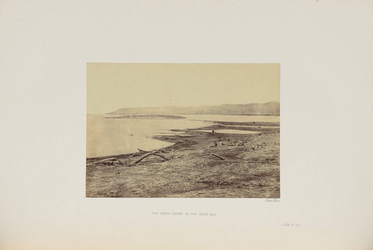 Döda havets norra strand av Francis Frith