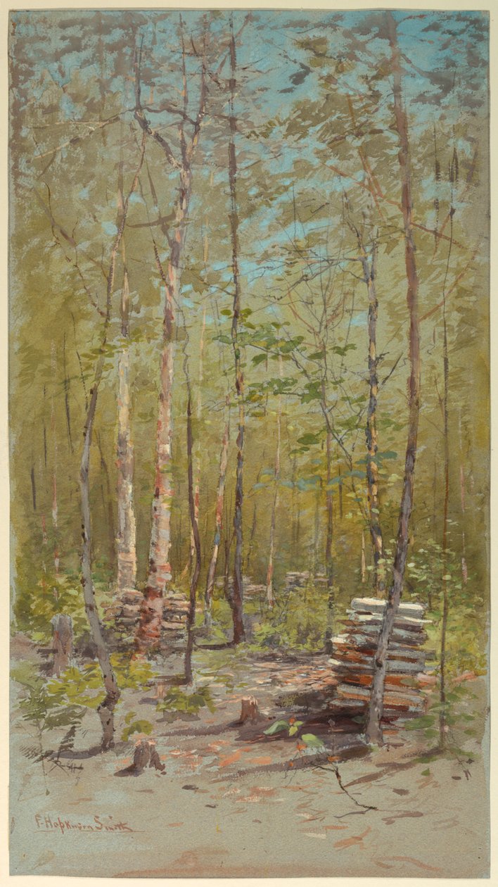 Björkar av Francis Hopkinson Smith