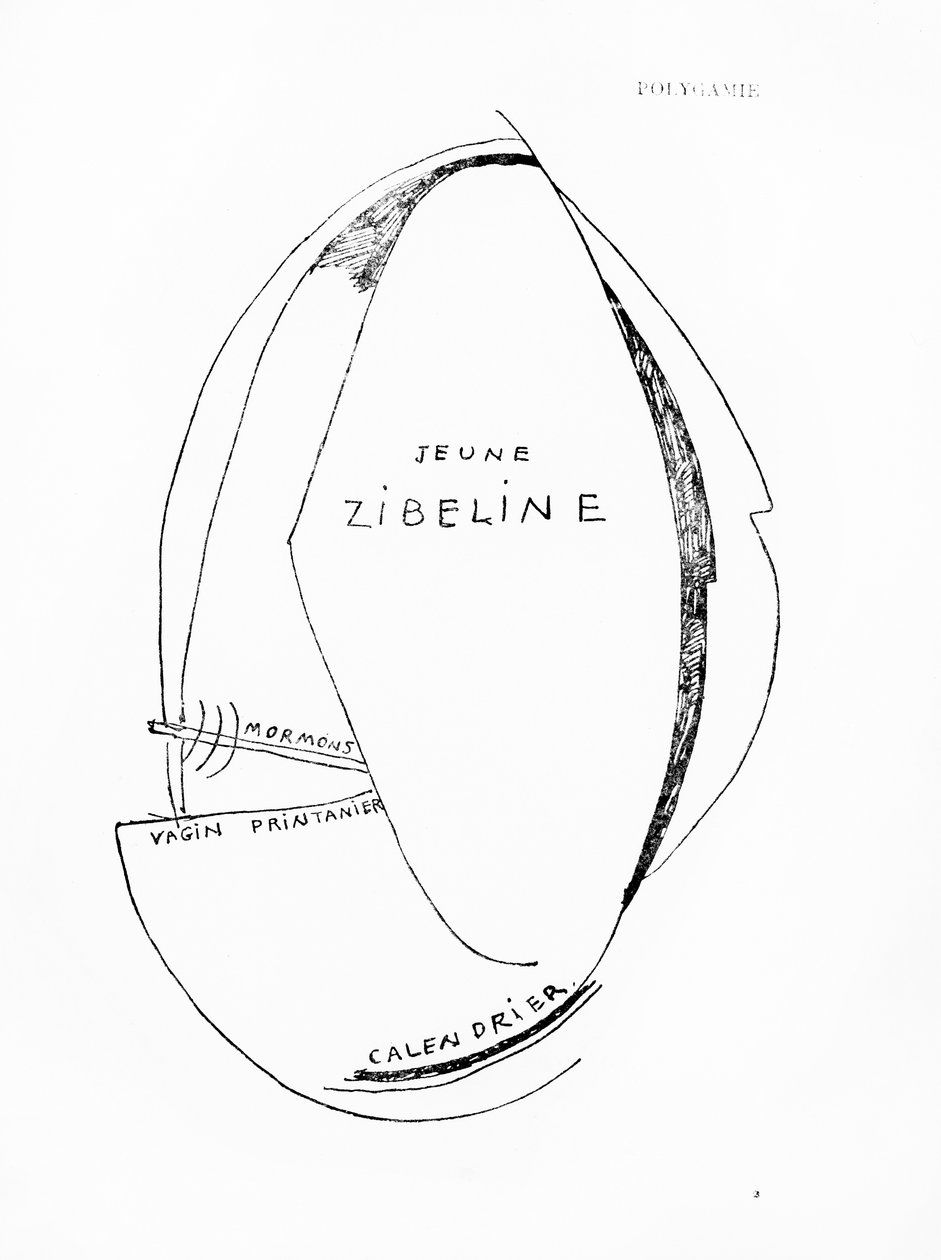 Poemes et Dessins de la Fille nee sans Mere, nr 15, utgiven av Imprimeries Reunies, Lausanne av Francis Picabia
