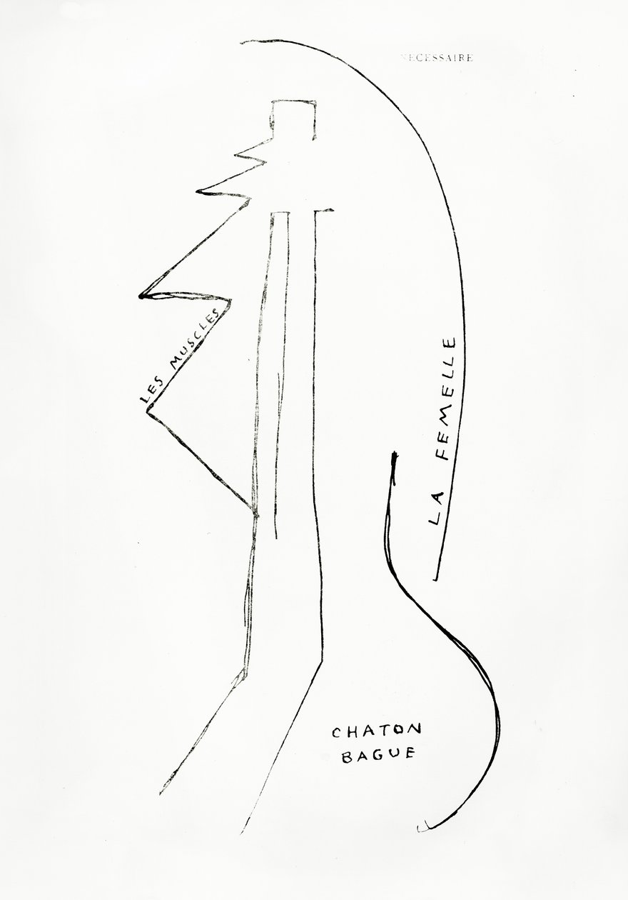 Poemes et Dessins de la Fille nee sans Mere, nr 23, utgiven av Imprimeries Reunies, Lausanne av Francis Picabia