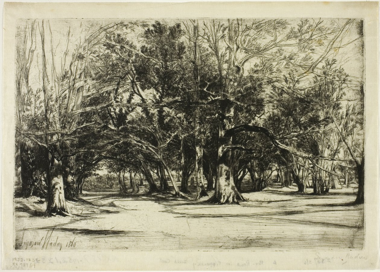 En på väg i Tipperary av Francis Seymour Haden