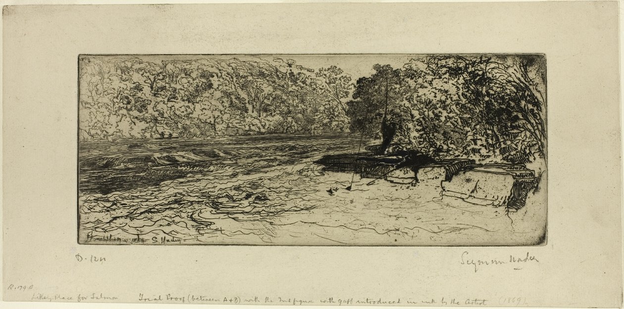 En trolig plats för en lax av Francis Seymour Haden