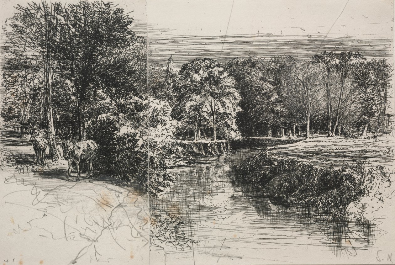 Dundrum River and the Two Asses av Francis Seymour Haden