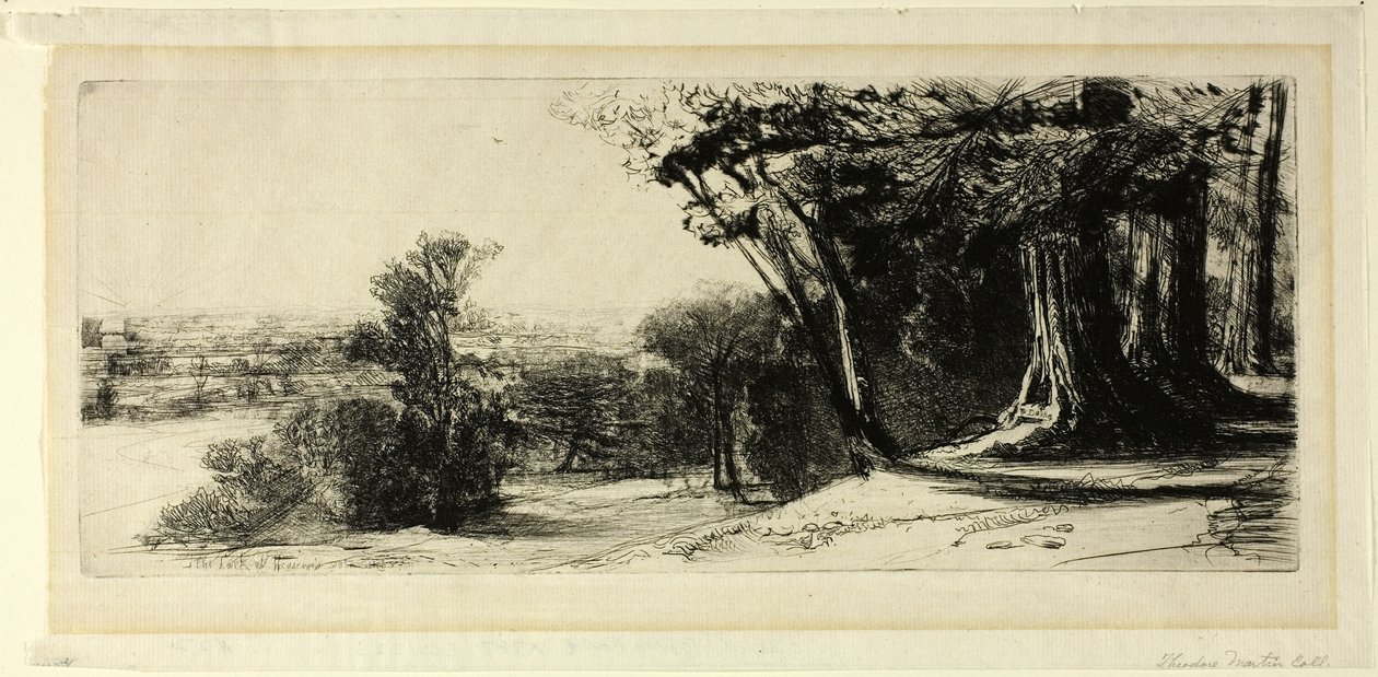 Tidig morgon, Richmond Park av Francis Seymour Haden