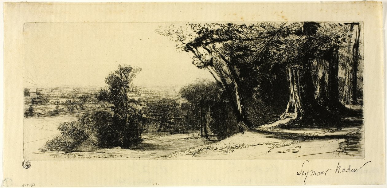 Tidig morgon, Richmond Park av Francis Seymour Haden