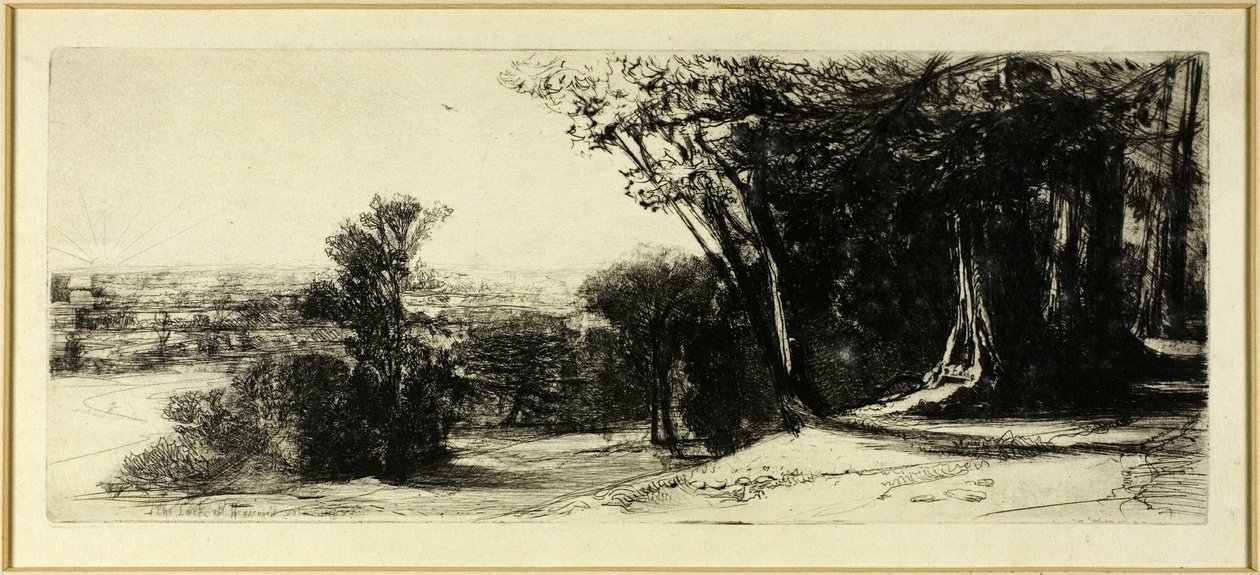 Tidig morgon, Richmond Park av Francis Seymour Haden
