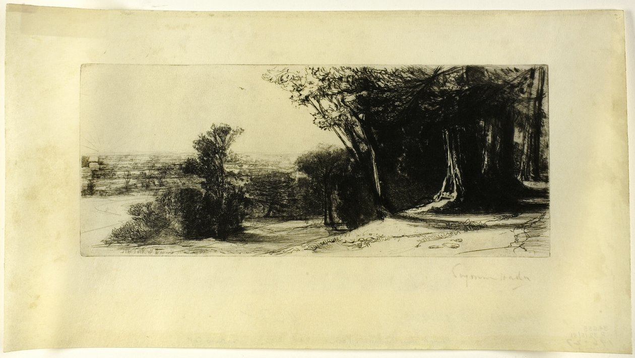 Tidig morgon, Richmond Park av Francis Seymour Haden