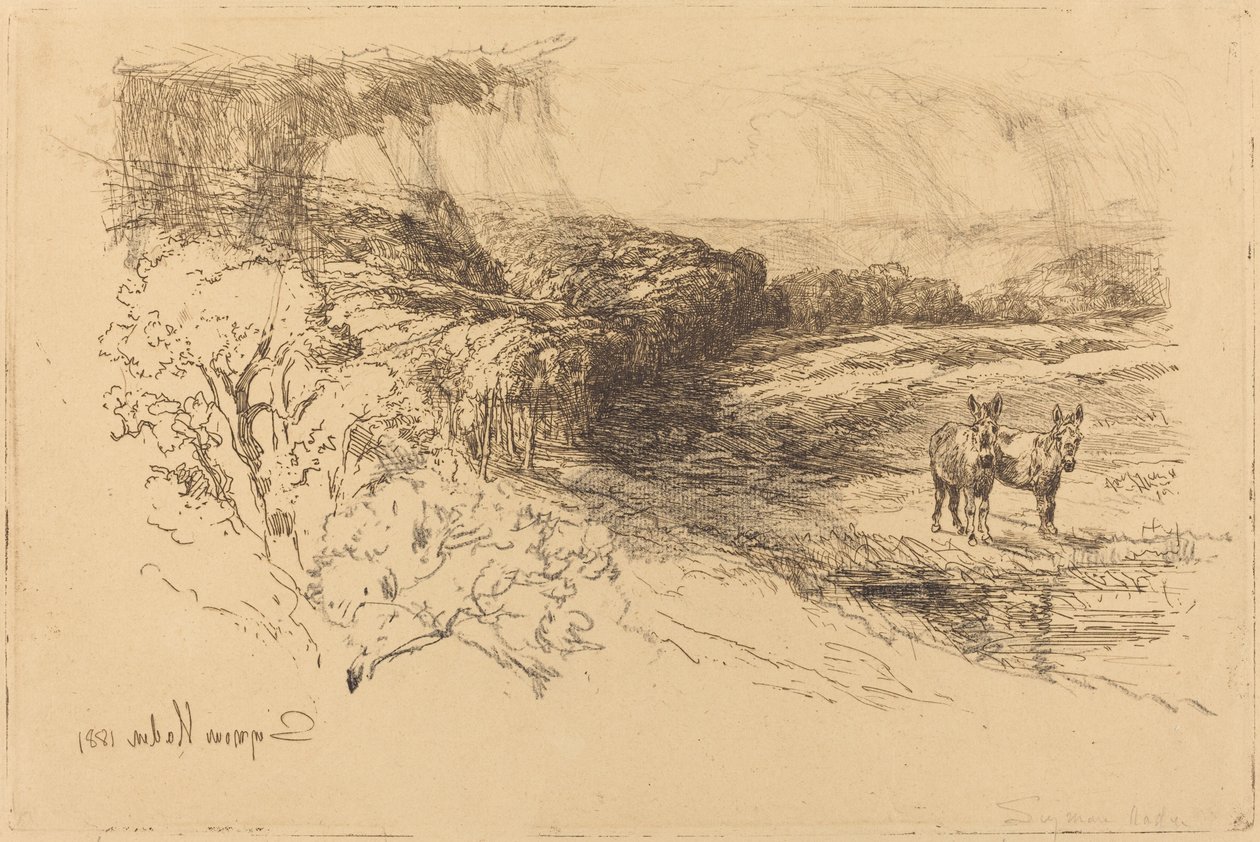 Encombe Woods (nr 1) av Francis Seymour Haden
