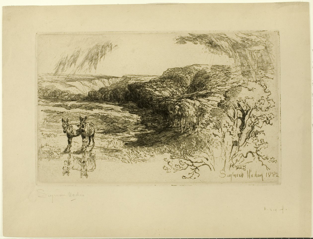 Encombe Woods, nr II av Francis Seymour Haden