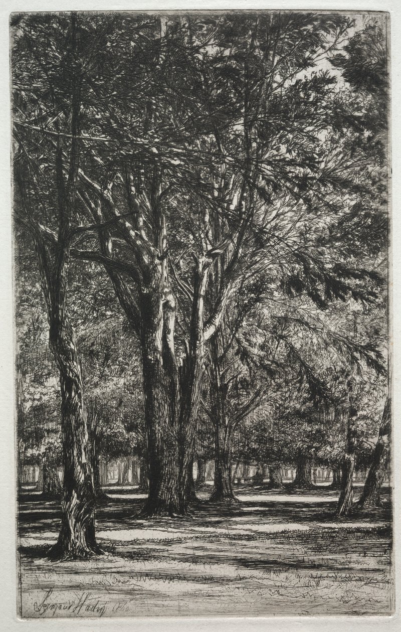 Kensington Gardens (den stora plattan) av Francis Seymour Haden