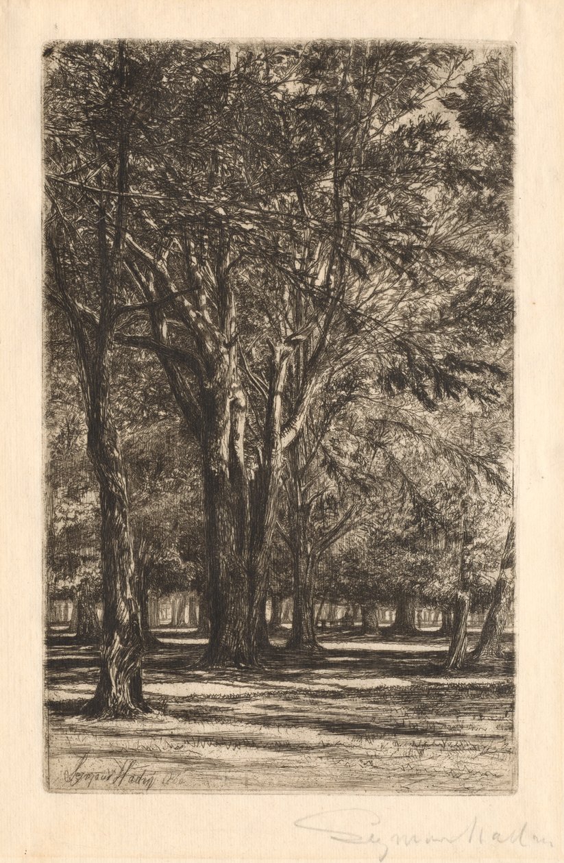Kensington Gardens, nr 2 stora plattan, 1860. av Francis Seymour Haden