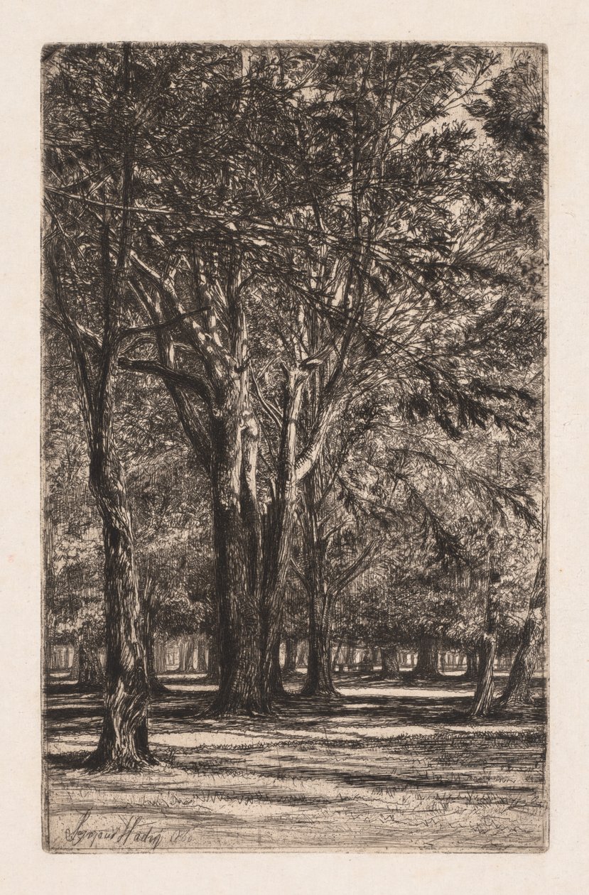 Kensington Gardens, nr 2 The Larger Plate, 1860. av Francis Seymour Haden