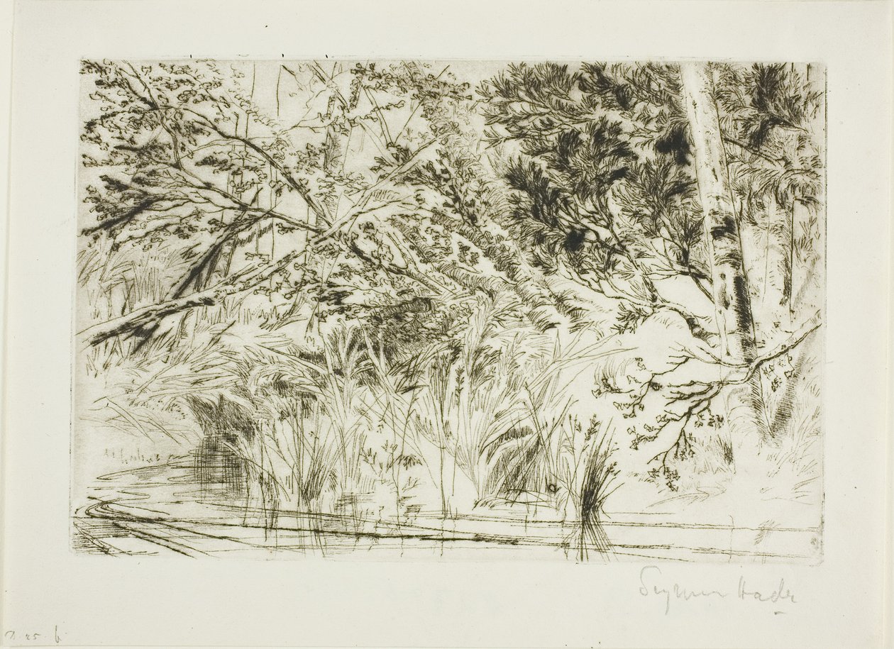 Mun av en bäck, nr II av Francis Seymour Haden