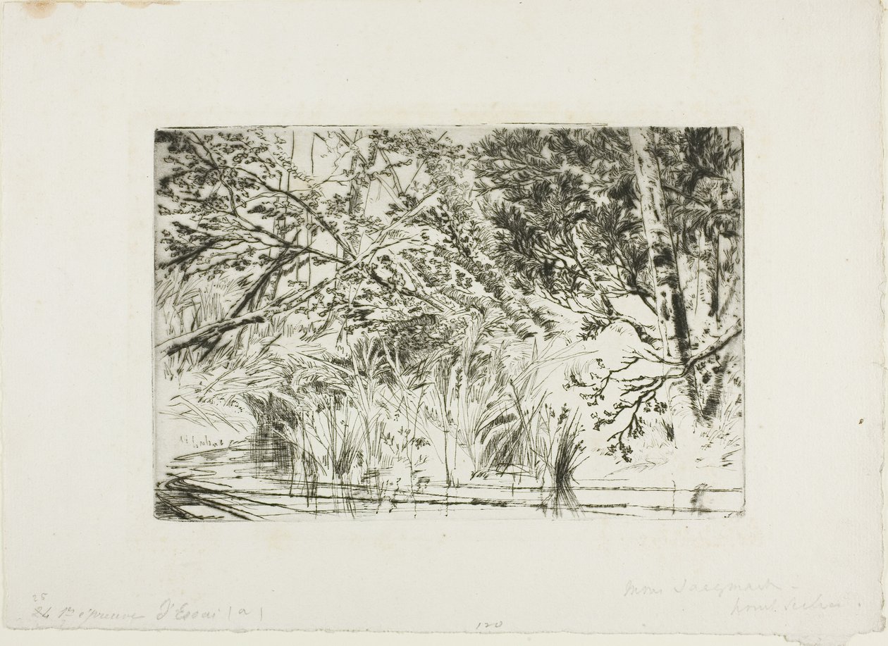 Mun av en bäck, nr II av Francis Seymour Haden