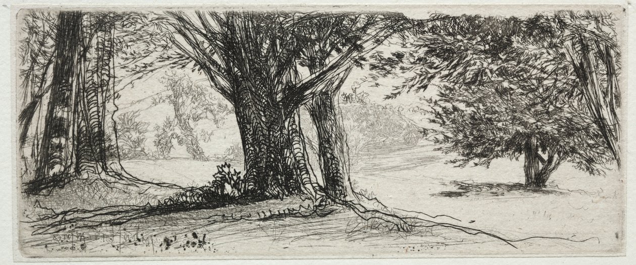 Järnekfältet. av Francis Seymour Haden