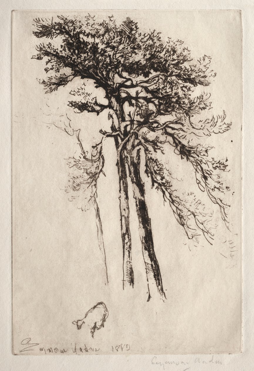 Det senaste trädet av Francis Seymour Haden