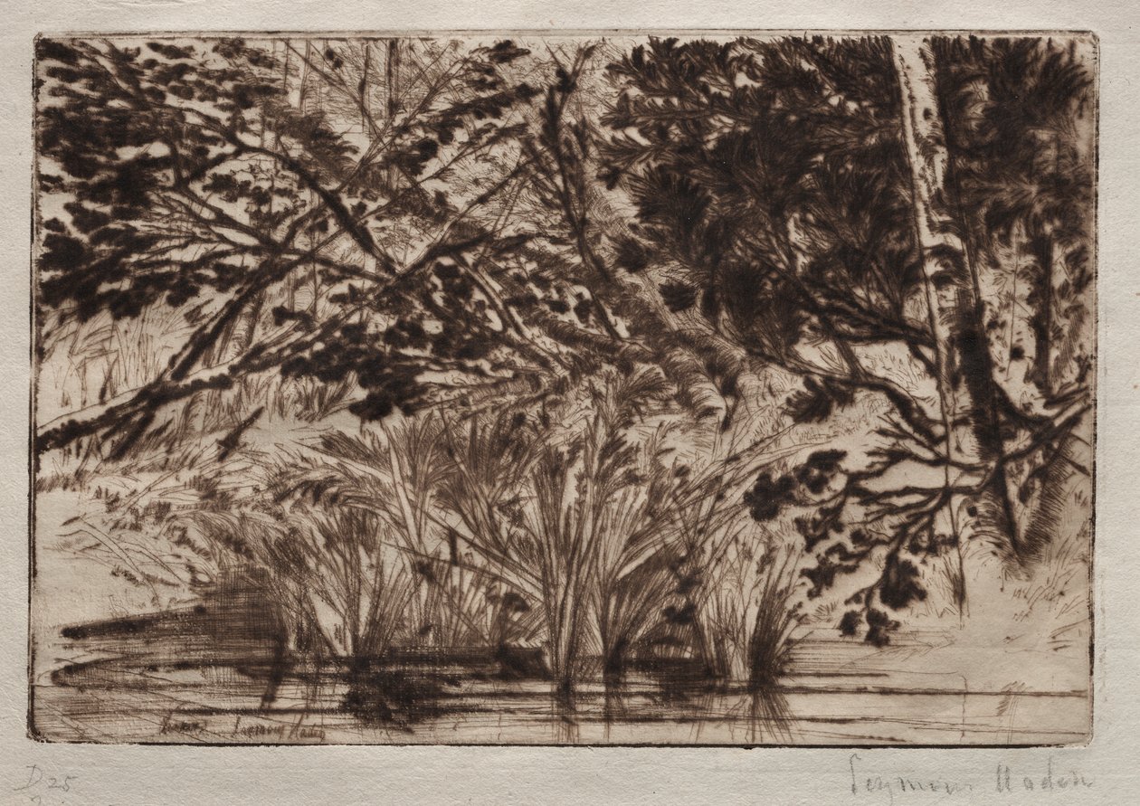 Munnen av en bäck (andra plattan) av Francis Seymour Haden