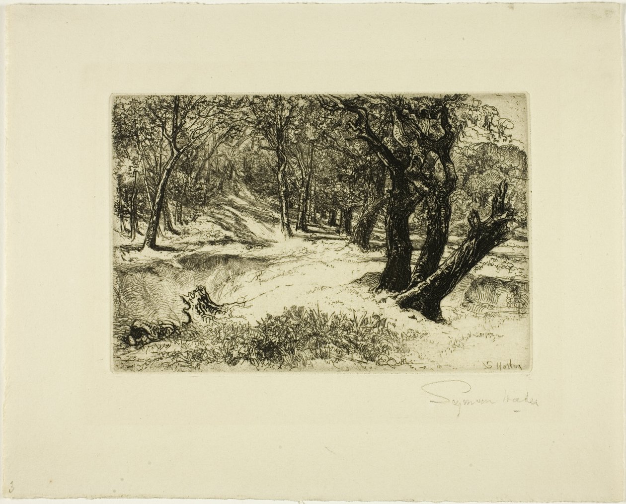 De tre systrarna av Francis Seymour Haden