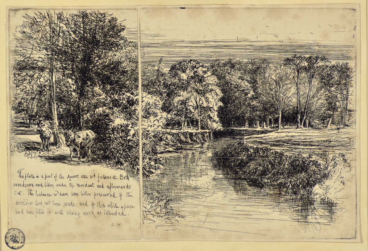 The Two Asses och Dundrum River av Francis Seymour Haden