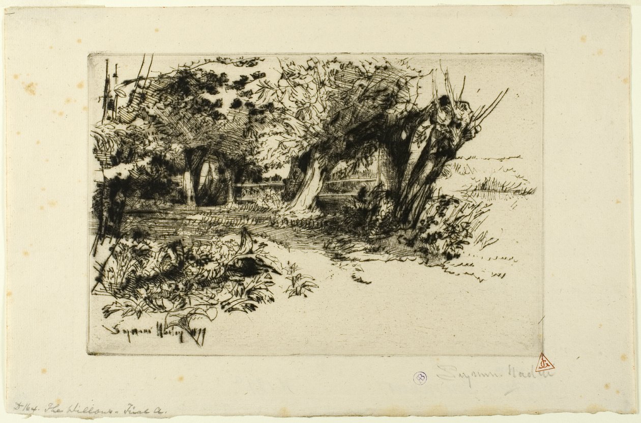 Willows av Francis Seymour Haden