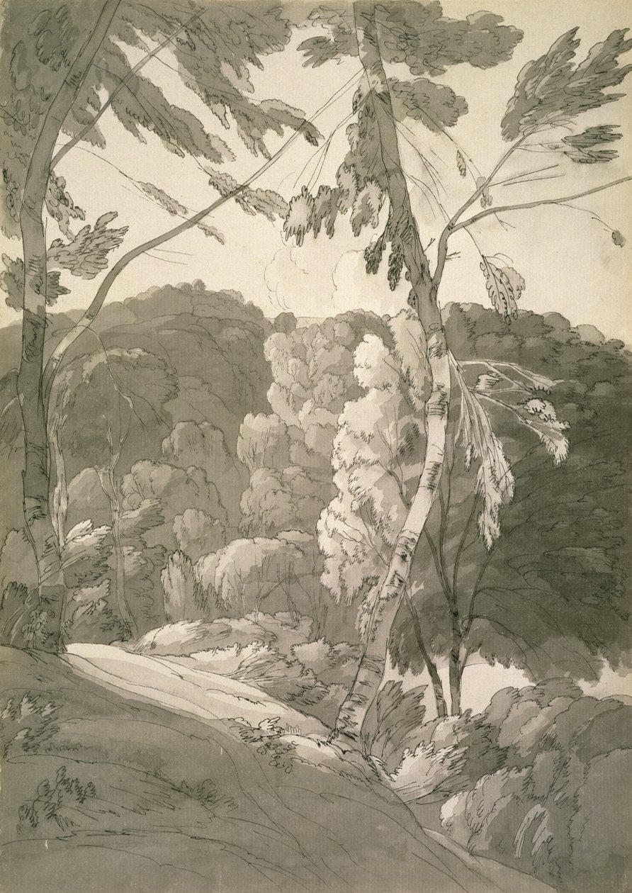No.1091 A Wooded Landscape (A Scene at Indinowle) 1783 (penna, penna och bläck med tvätt på papper) av Francis Towne
