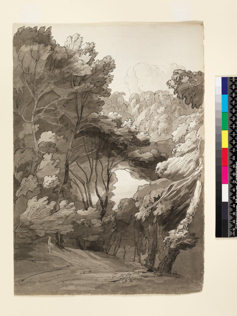 No.1093 A Wooded Landscape, 1788 (bläck & tvätt på papper) av Francis Towne