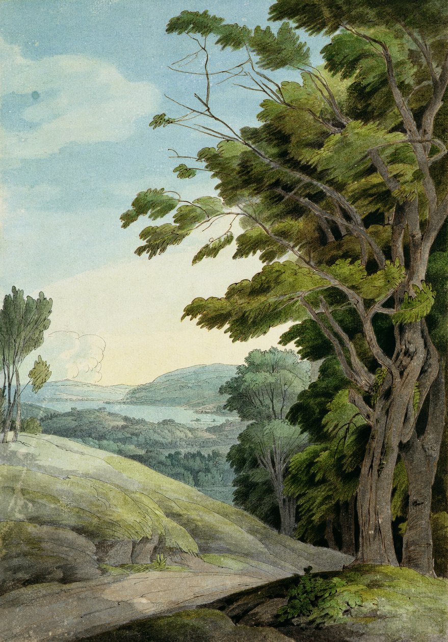 View from Rydal Park (penna, bläck och akvarell på papper) av Francis Towne