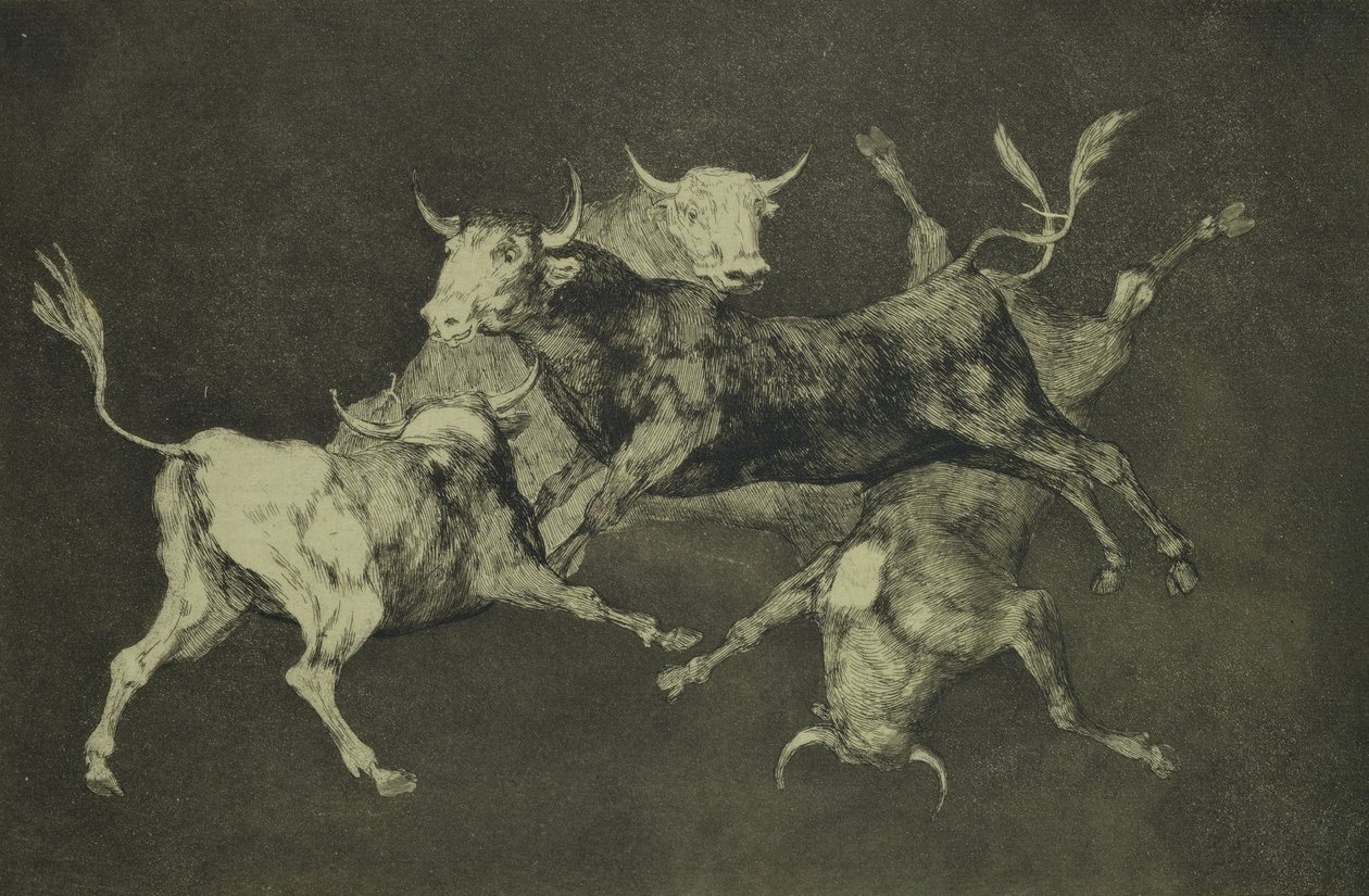 Bullarnas dårskap, från serien Follies, ca 1815-24 (etsning och akvatint på japanskt papper) av Francisco de Goya