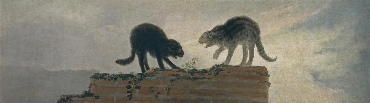 Kattbråk av Francisco de Goya