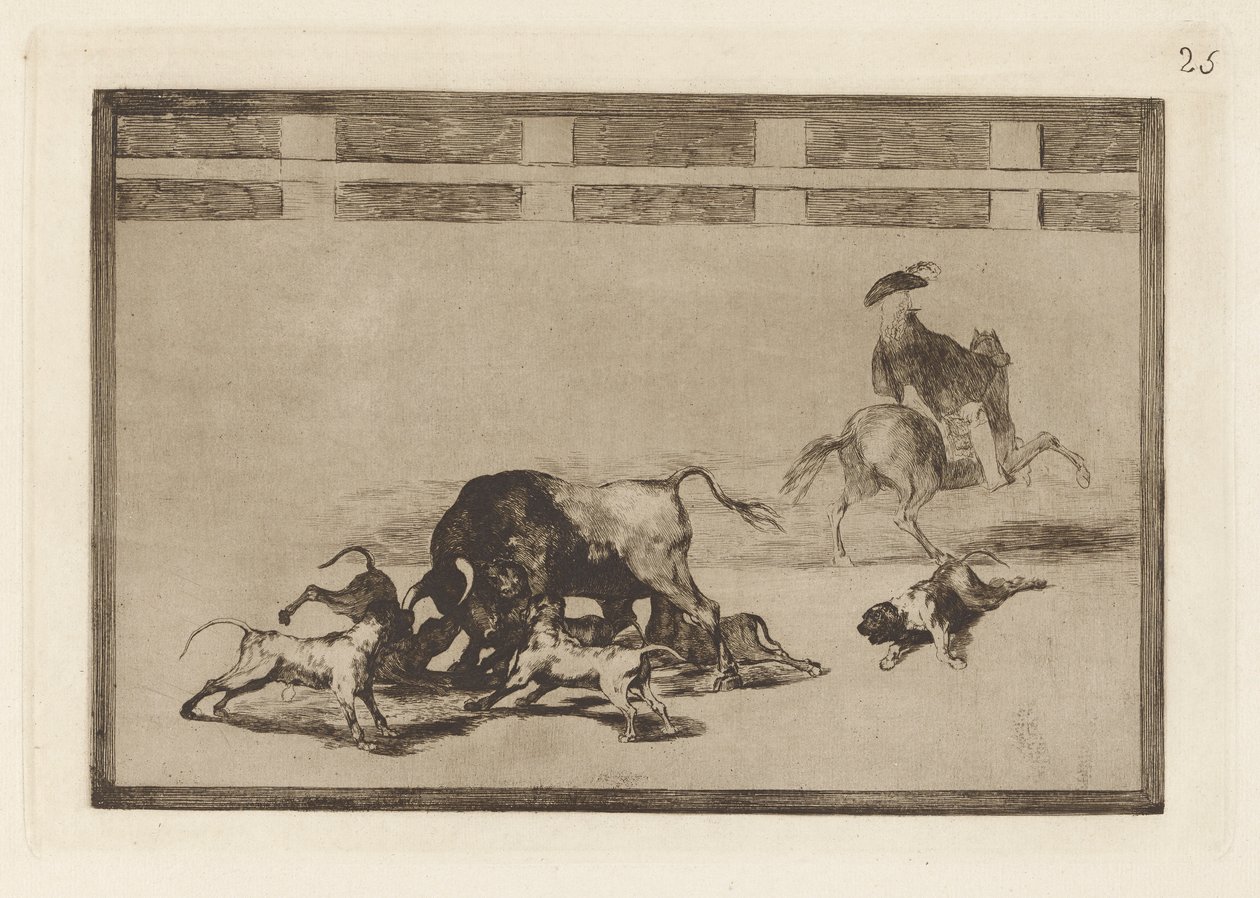Echan perros al toro (They Loose Dogs on the Bull), Tallrik 25 från La tauromaquia av Francisco de Goya