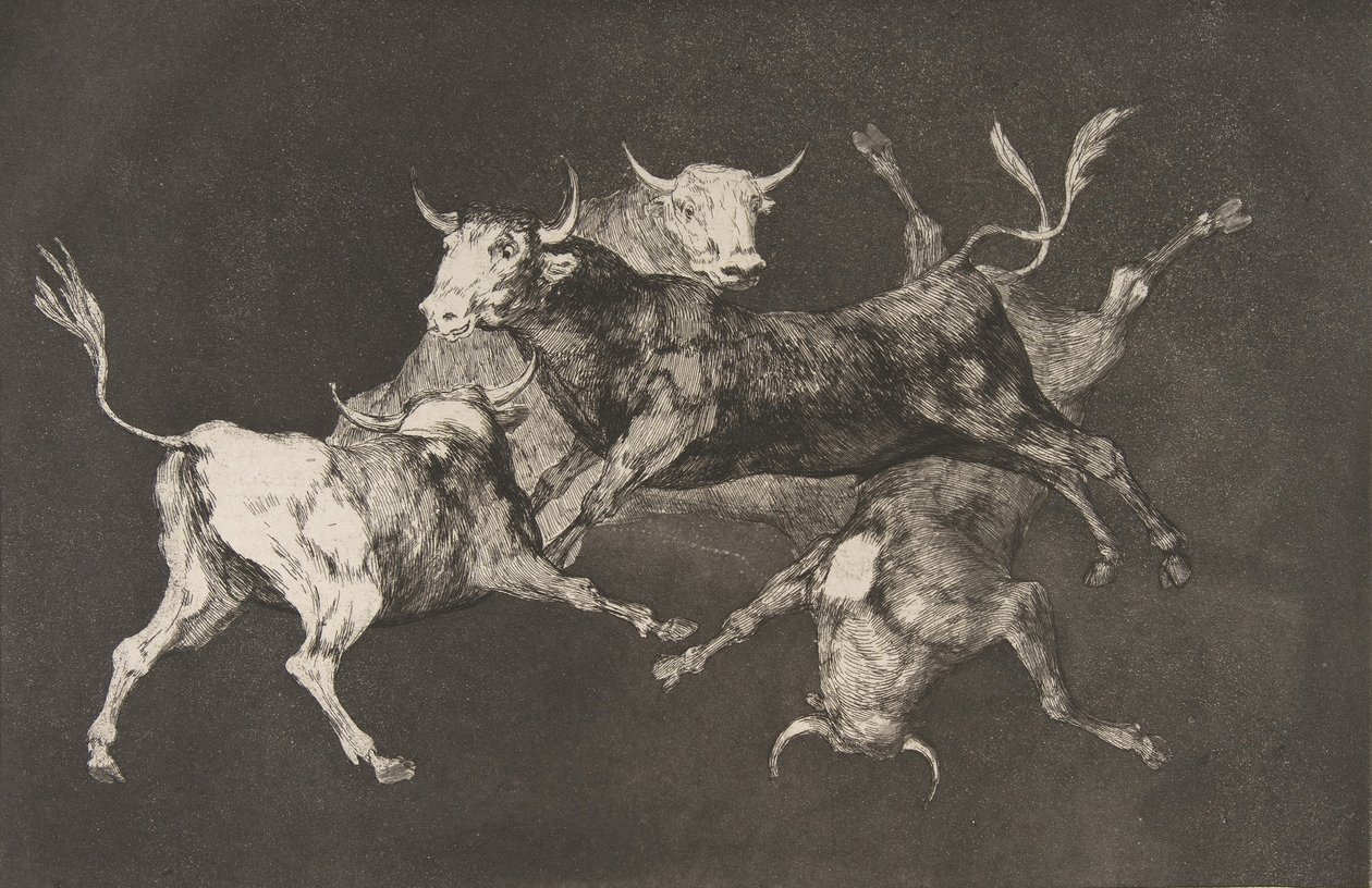 Plåt D från Disparates: Fools-or Little Bulls - fo..., ca. 1816-23 utgiven före 1877. av Francisco de Goya