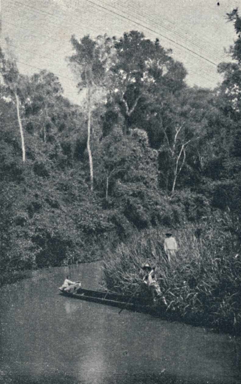 S. Anastacio River, 1895 av Francisco Henszler