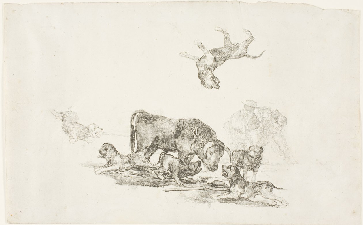 Tjur attackerad av hundar av Francisco Jose de Goya y Lucientes
