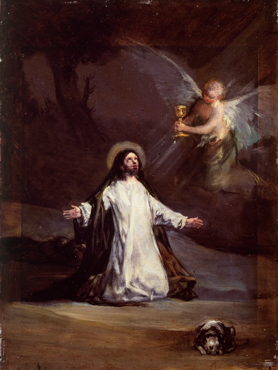 Okänd bild av Francisco de Goya