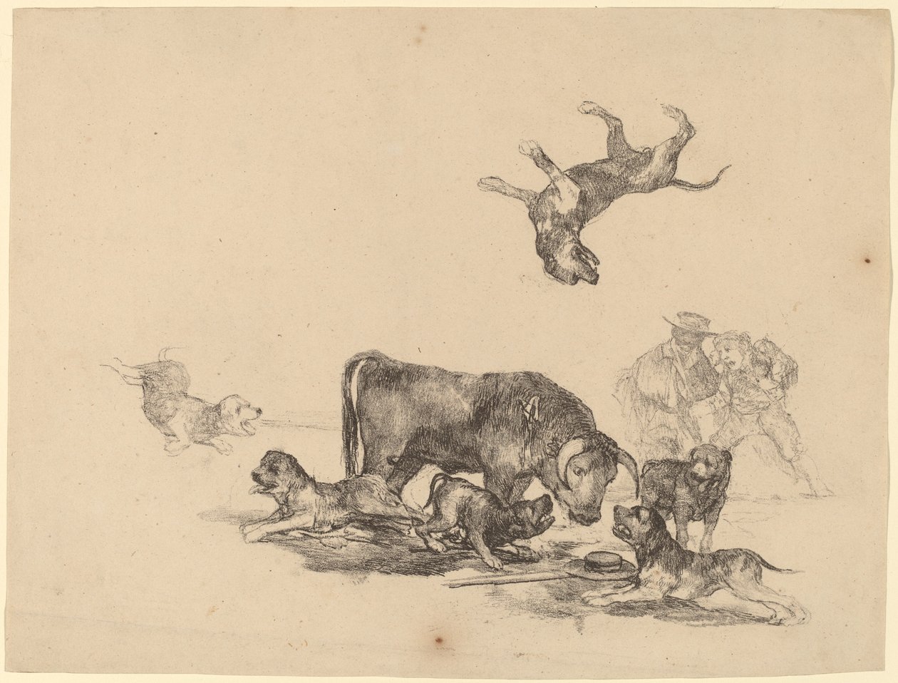 Tjur attackerad av hundar av Francisco de Goya