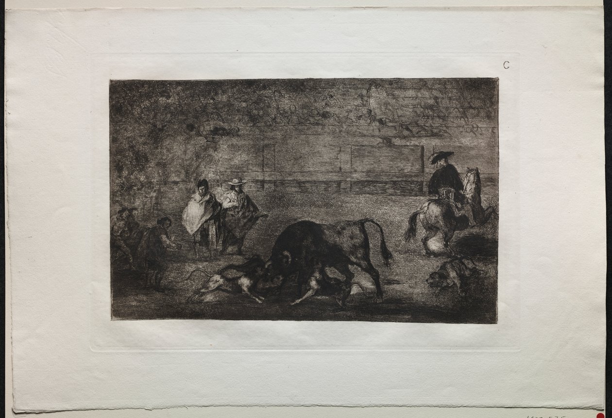 Tjurfäktningar: Hunden släpper loss på tjuren av Francisco de Goya