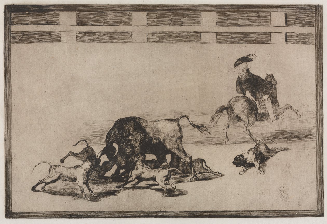Tjurfäktningar: The Loose Dogs on the Bull av Francisco de Goya
