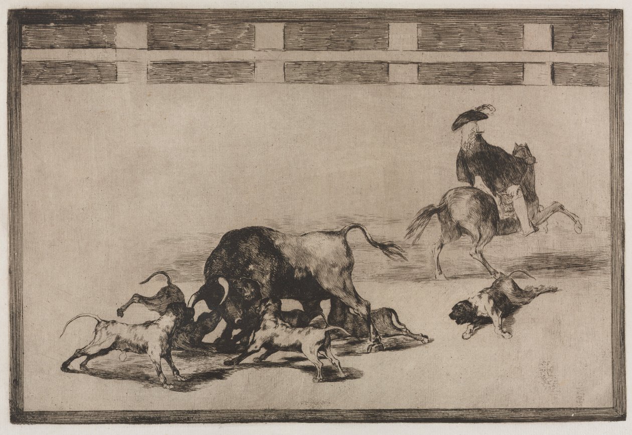 Tjurfäktningar: They Loose Dogs on the Bull, 1876. av Francisco de Goya