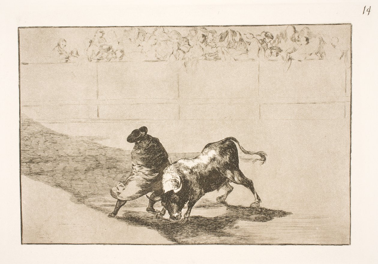 Den mycket begåvade studenten från Falces, draperad i sin kappa, lurar tjuren med kroppens rörelser av Francisco de Goya