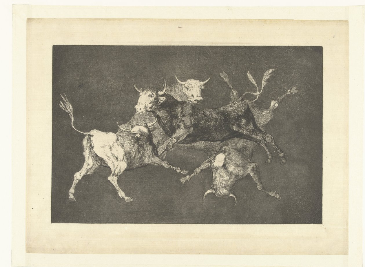De små tjurarnas dårskap Disparate de tontos Los Disparates (The follies) (serietitel) Los Proverbios (Ordspråken) (serietitel) av Francisco de Goya